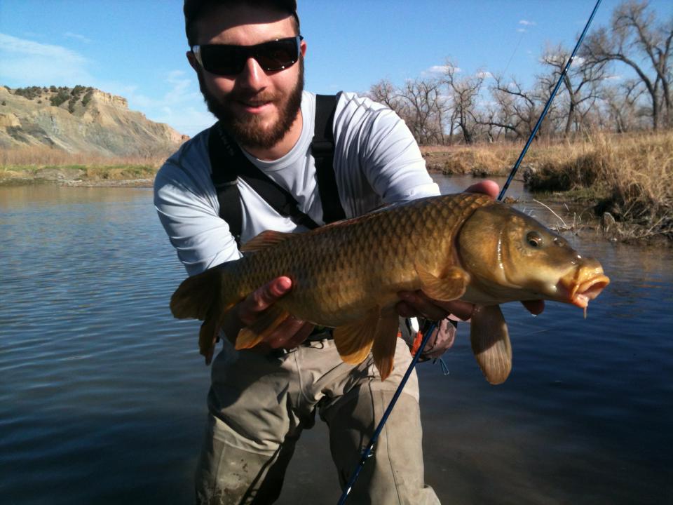 Fly Fishing for South Dakota Bonefish - Why Carp Rock!