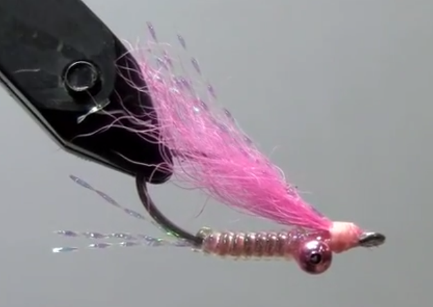Crazy Charlie fly tying video