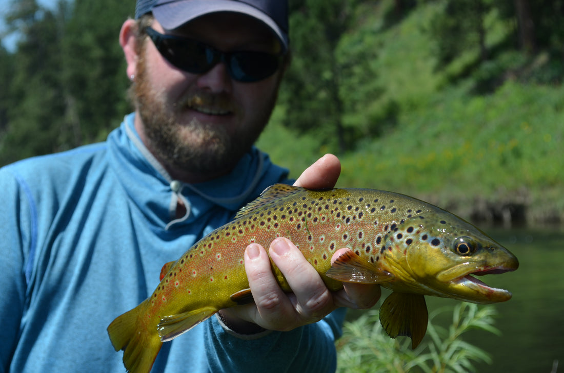 Black Hills Fishing Update!