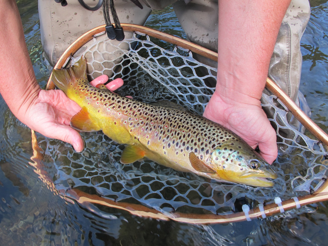 Black Hills Fishing Report October 2nd 2014