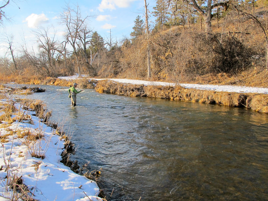 rapid creek trout fishing winter