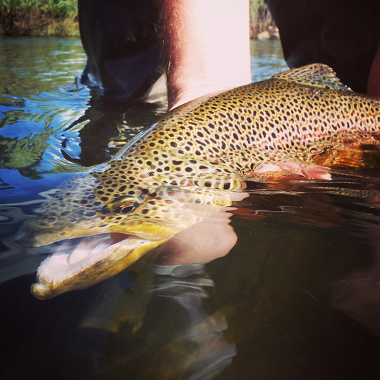 Black Hills Fishing Report - August 4, 2015