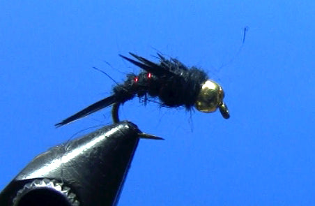 North Fork Special Nymph