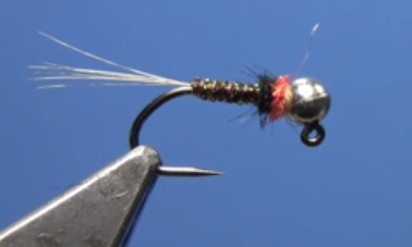 Party Crasher Jig Nymph