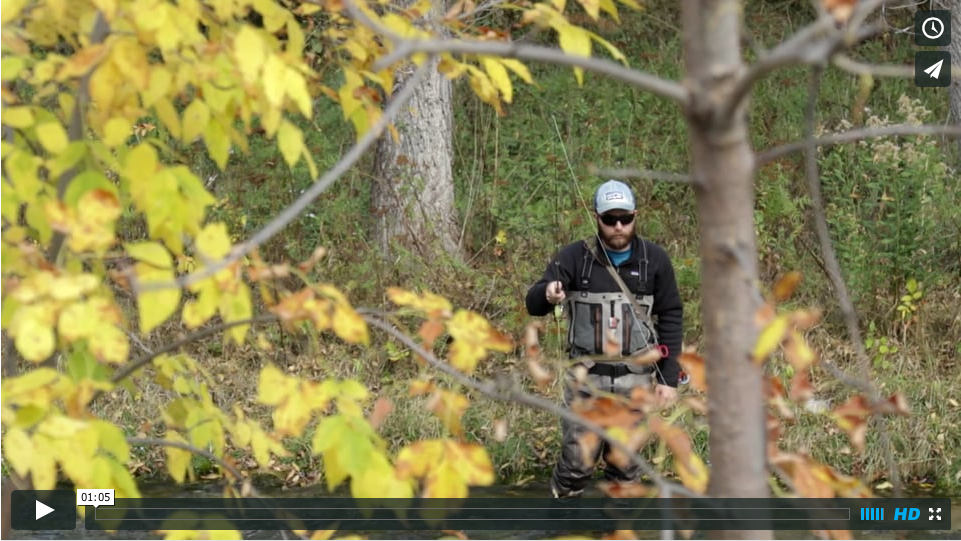 Spearfish Creek Video!