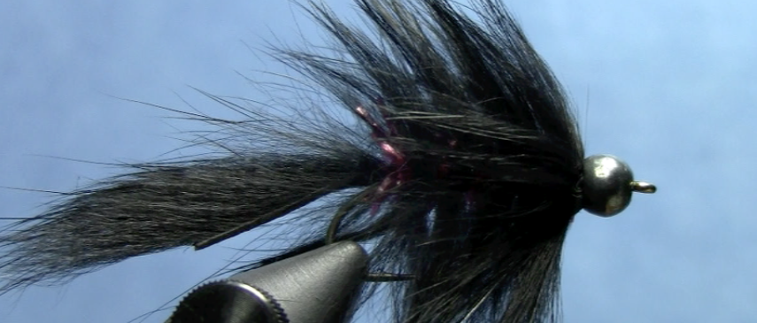 Squirrel Hair leech fly tying