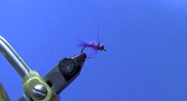 Fly Tying with Ryan - Ryan's Purple UV CDC Nymph
