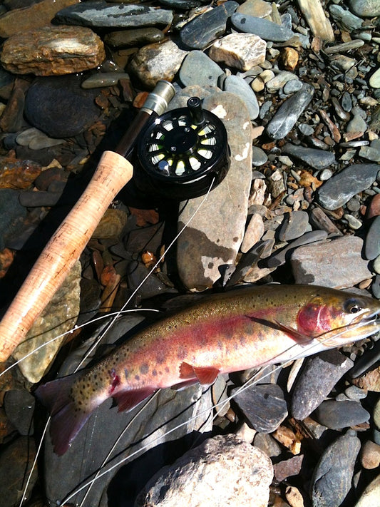 Black Hills Fishing Report 6/11/12