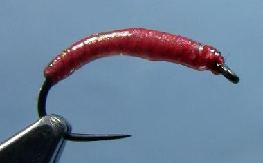 Chewee Bloodworm