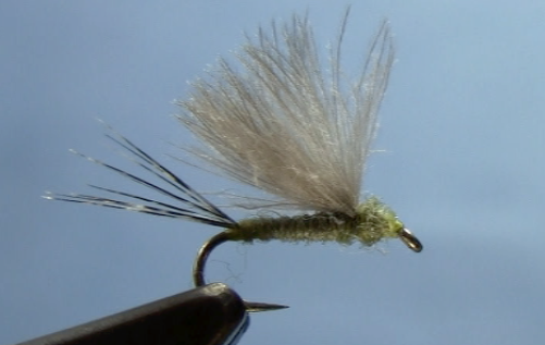 cdc mayfly dun trout flies