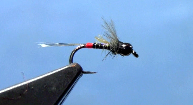 Czech Quill Body Nymph Fly Tying Video