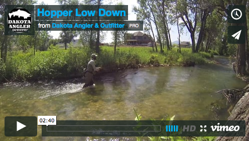 hopper low down video image black hills fishing