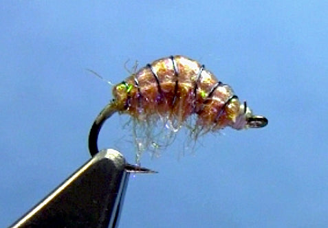 hunchback scud fly tying video