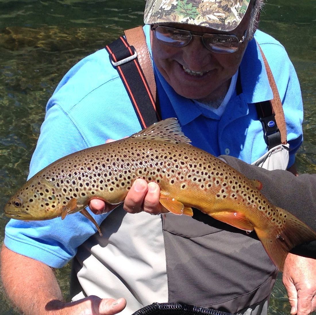 brown trout guided black hills fly fishing