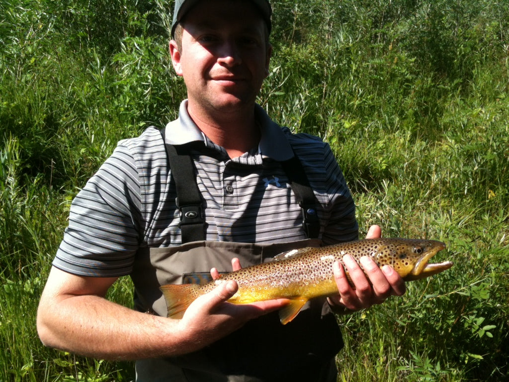 Black Hills Fly Fishing Rapid Creek Brown Trout