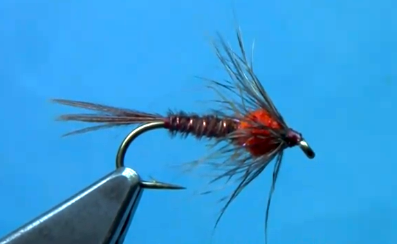 soft hackle pheasant tail nymph