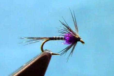 spring soft hackle fly tying