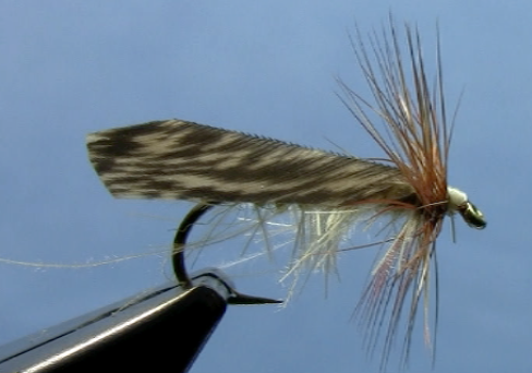 tape wing caddis fly pattern
