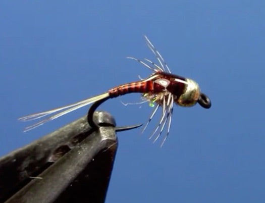 tungsten quill body nymph fly tying