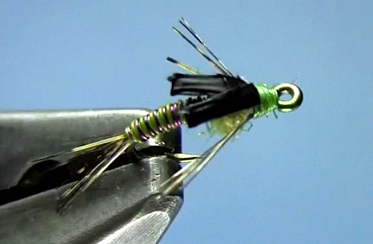 wire bodied baetis nymph