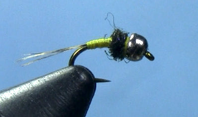 Tying the Yellow Bellied Baetis Nymph